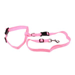 Attractive  Beautiful  Colorful Popular Traction Pulling Leash Pet Dog Running Jogging Convenient Safe Fashional  Goods for pets