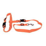Attractive  Beautiful  Colorful Popular Traction Pulling Leash Pet Dog Running Jogging Convenient Safe Fashional  Goods for pets