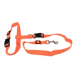Attractive  Beautiful  Colorful Popular Traction Pulling Leash Pet Dog Running Jogging Convenient Safe Fashional  Goods for pets