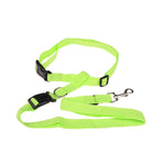Attractive  Beautiful  Colorful Popular Traction Pulling Leash Pet Dog Running Jogging Convenient Safe Fashional  Goods for pets