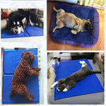 Cold Dog Mat